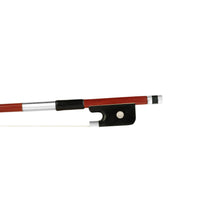 Load image into Gallery viewer, Forte Brazilwood viola bow Ebony frog front view, featuring Nickel Silver winding, Serbian eye and Pearl slide
