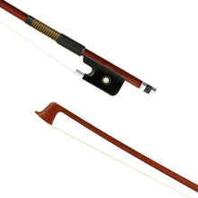 Load image into Gallery viewer, Forte Brazilwood Plus viola bass bow tip and fully-mounted Ebony frog front view, featuring octagonal stick, Nickel Silver winding, Parisian eye, Abalone slide and white horsehair
