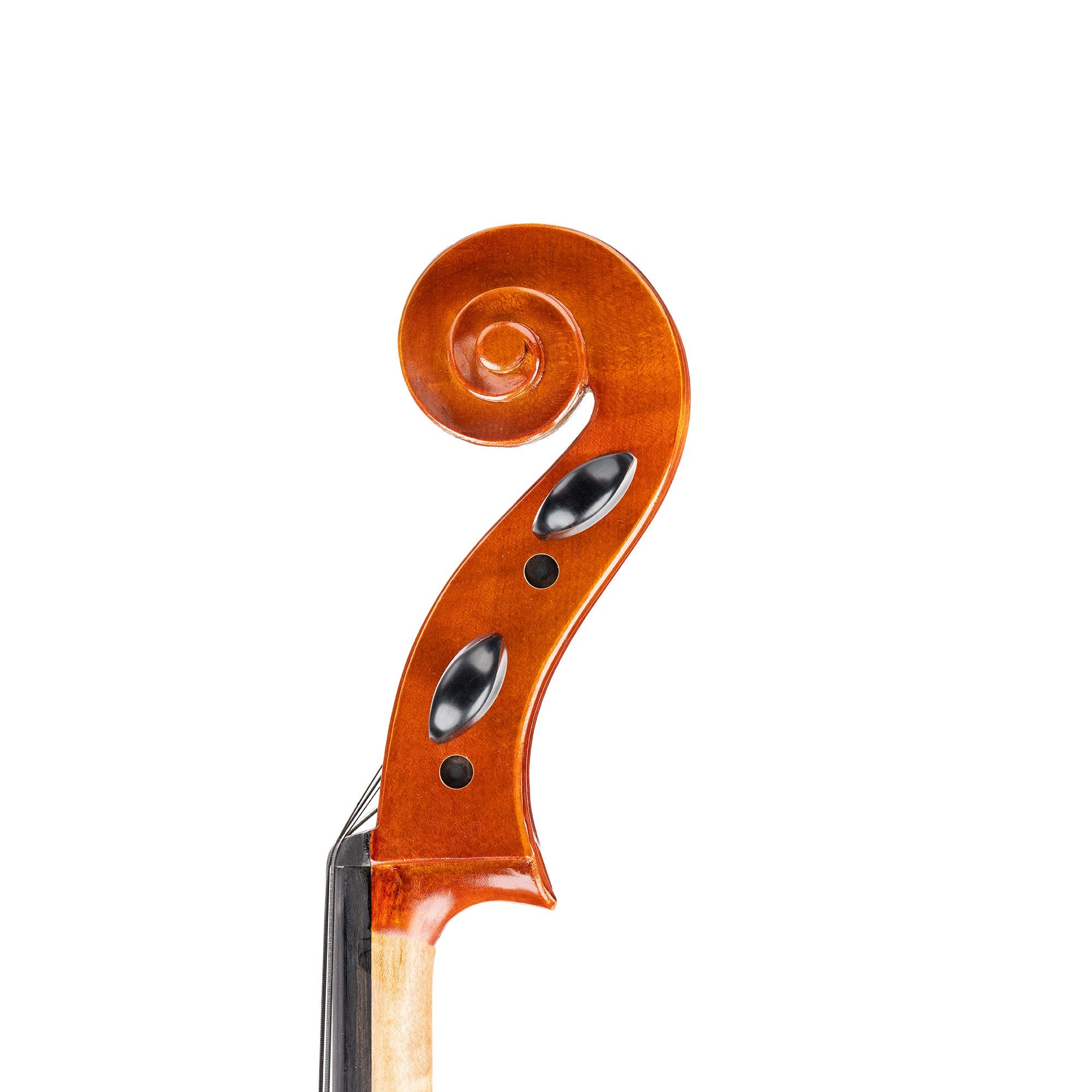 EXQUISITO Solo 55 Cello – J.I.Strings